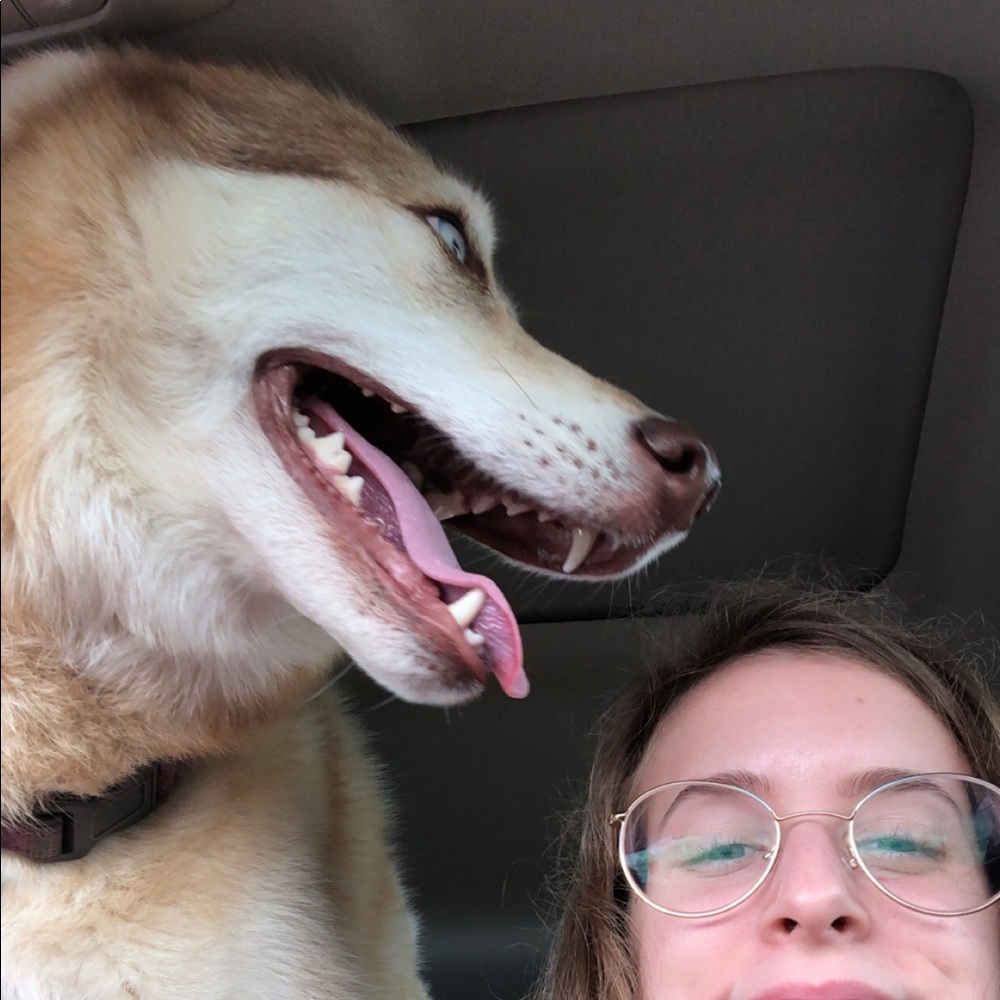 Meet your Posher, Kaylee